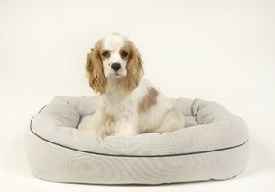 高清西班牙圖片下載 西班牙風(fēng)景圖大全 千圖網(wǎng)