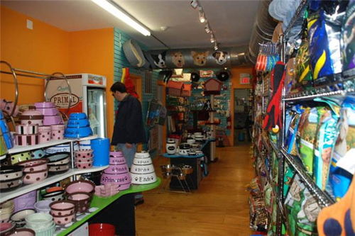 寵物用品超市加盟費解析 總投資27.89萬元，加盟費如何構成？